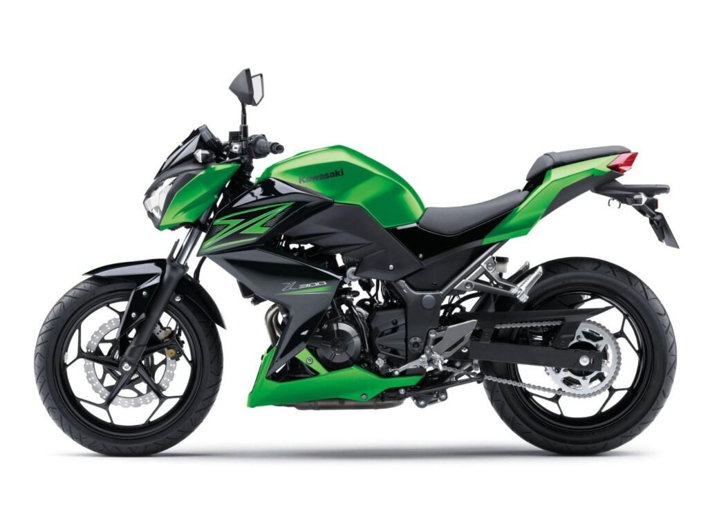 Kawasaki Z300 streetfighter motorcycle full view